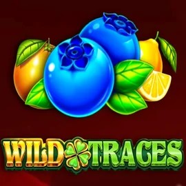 Wild Traces logo – Slots by Amusnet Interactive at Spinit Casino