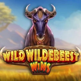 Wild Wildebeest Wins online game logo by Pragmatic Play on spinit.eu.com